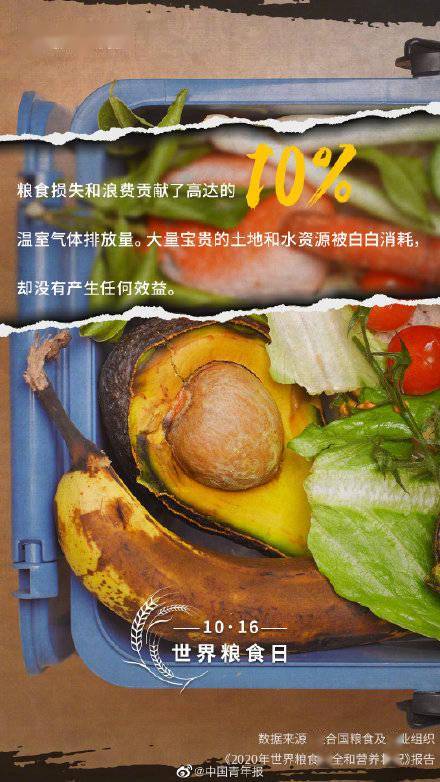 食物|关于粮食你可能不知道的事实