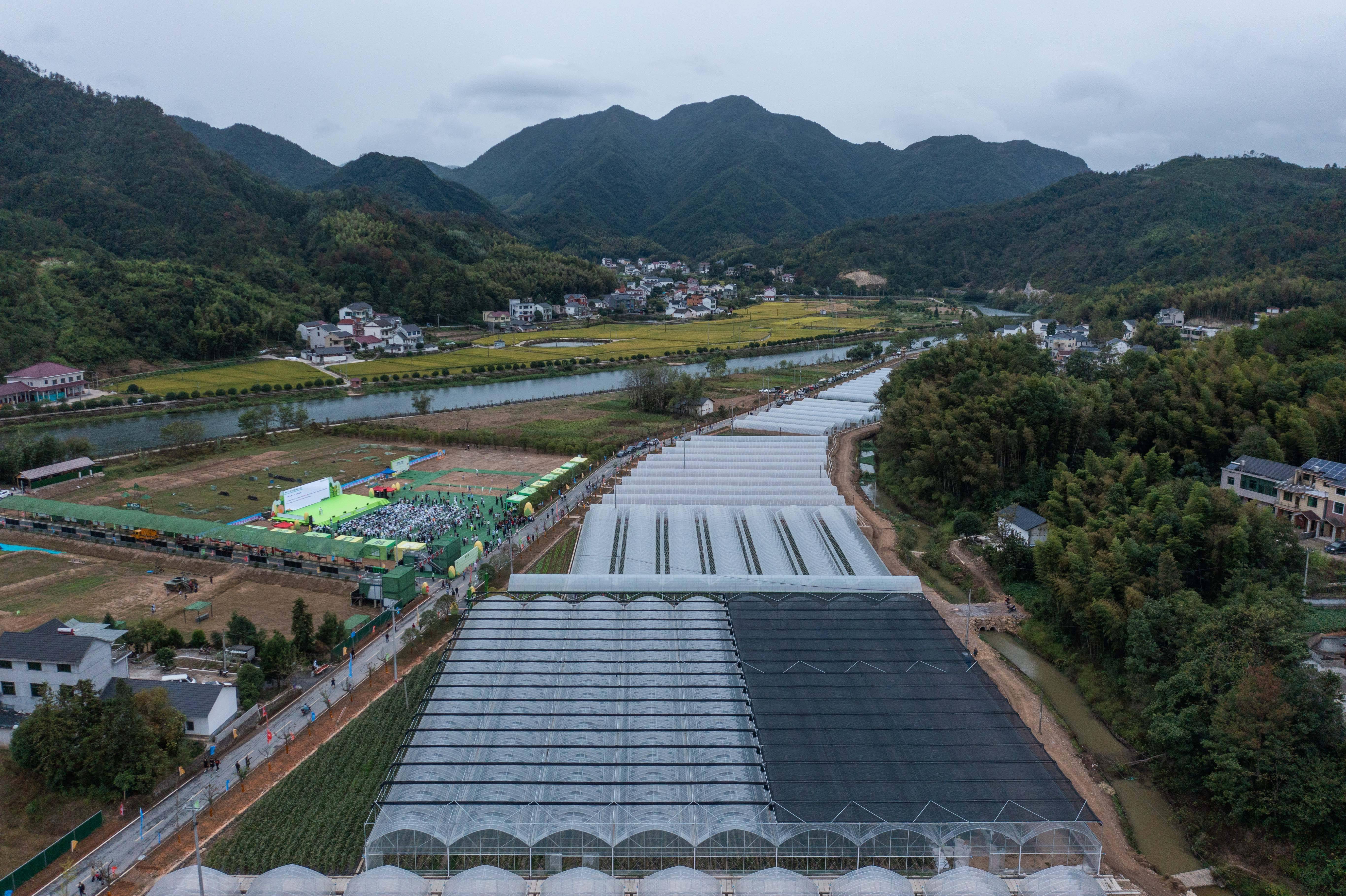 游客|特色农旅产业助力乡村振兴