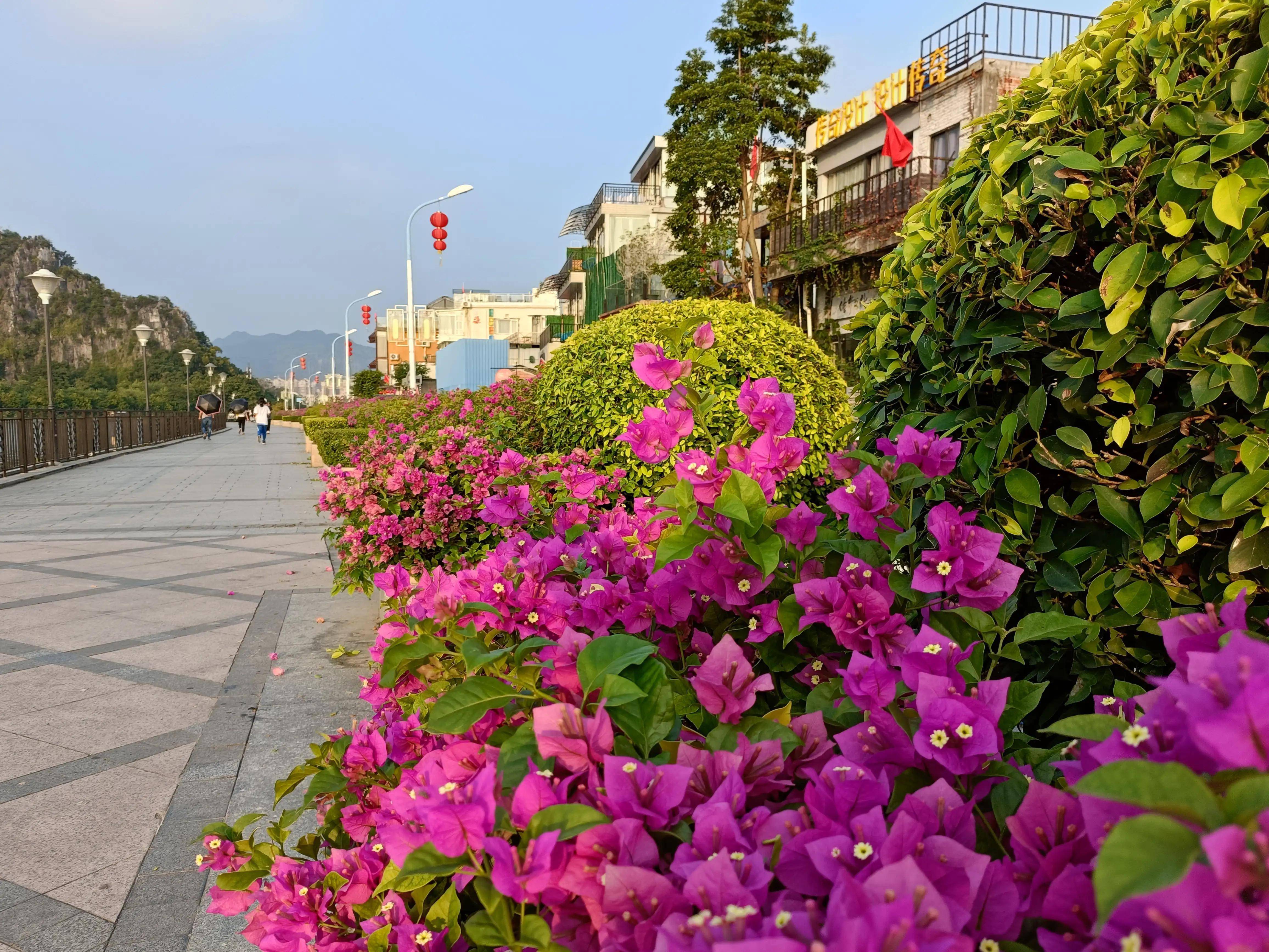 肇庆还有这样一个小鼓浪屿,你可不要错过啊_岩前村