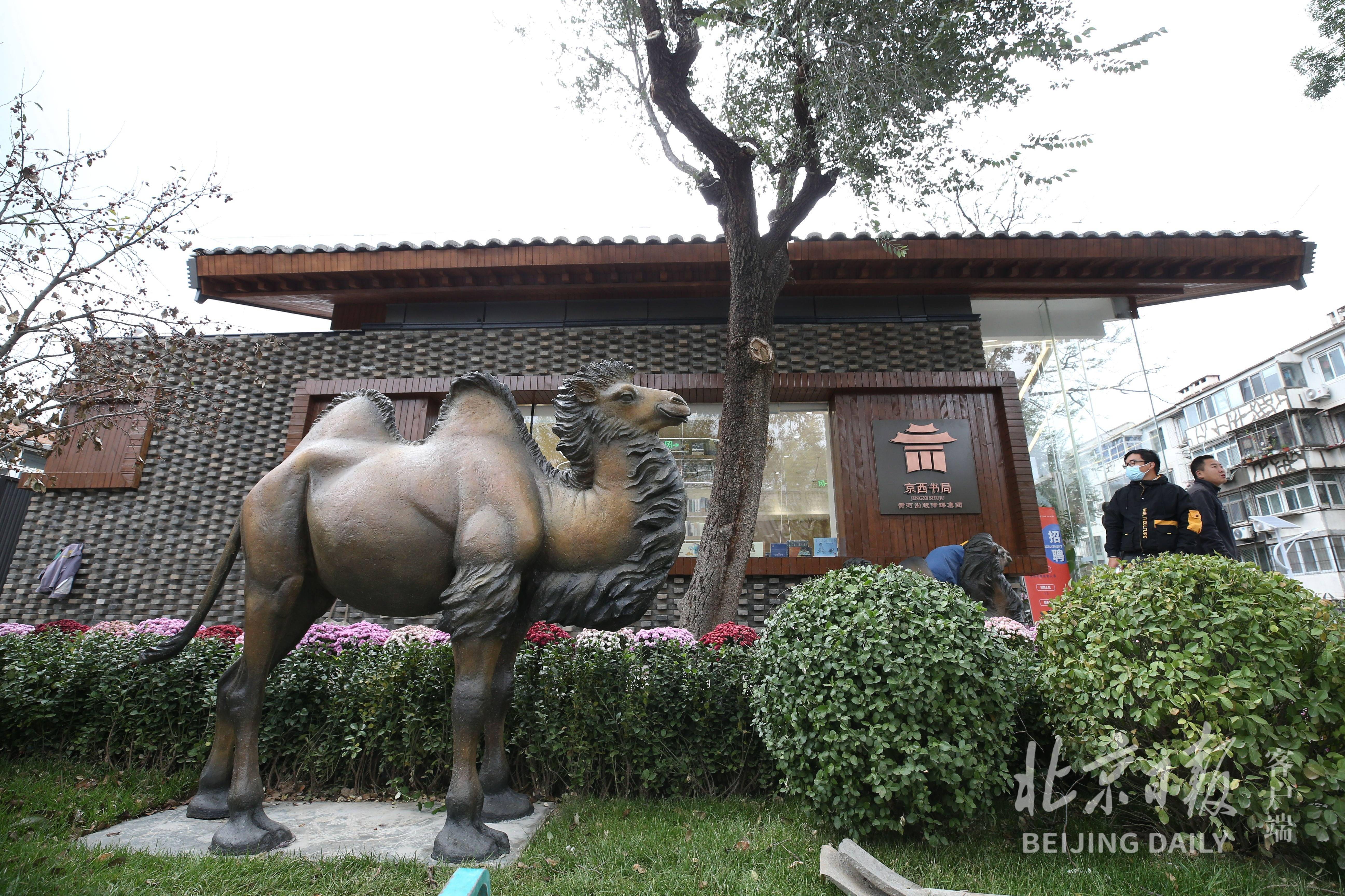 骆驼祥子从这里走出,京西古道模式口大街古韵焕新颜