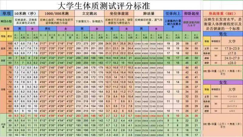 大学生体测标准成绩表图片