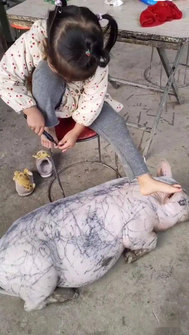 猪表示没脸活了,这个样子活着没意思了妈妈眼中你的饭量发给朋友们看