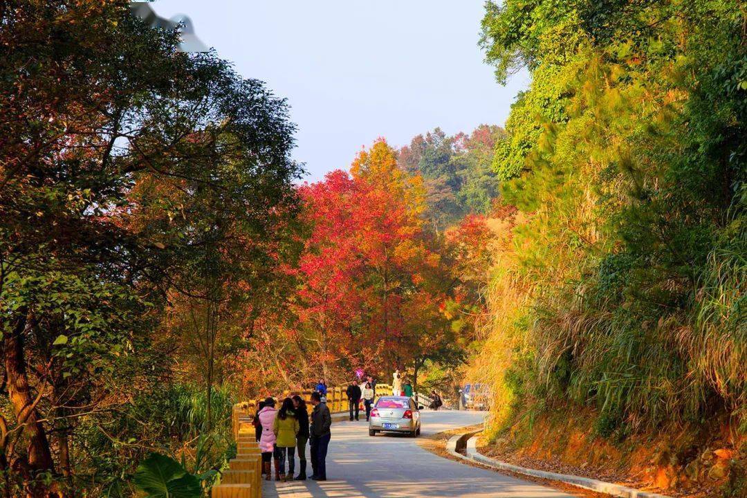 石门森林公园素有广州香山美誉被称为北回归线上的一片绿洲