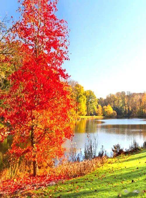 风景|秋意浓，道一声珍重