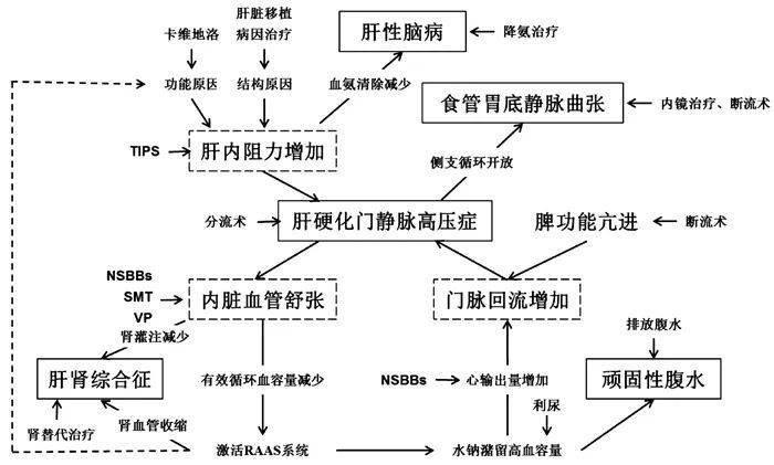 權威發佈肝硬化門靜脈高壓症多學科診治基於肝靜脈壓力梯度專家共識