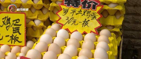 口感|“土鸡蛋”真的比“洋鸡蛋”好吗？答案是......