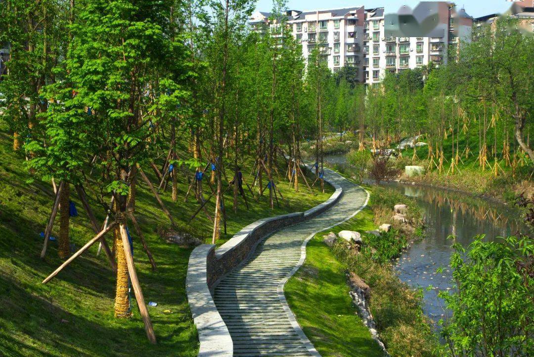 水清岸绿九龙坡跳磴河入选重庆市首届生态保护修复十大案例