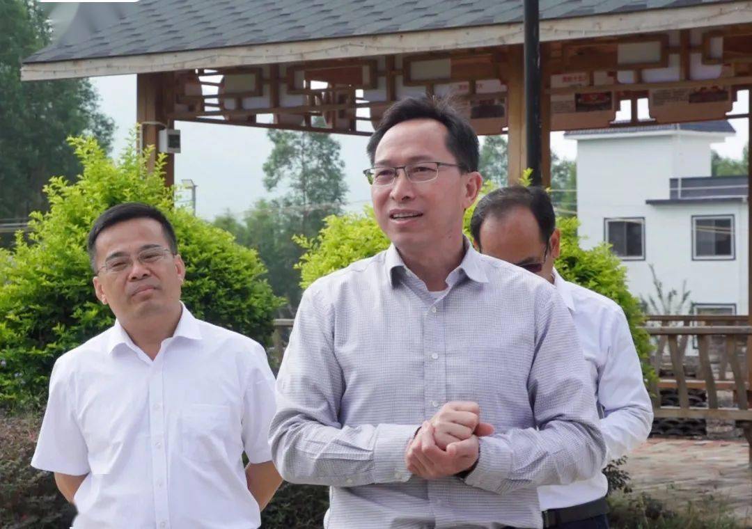 市委副书记毛任建到八步区调研指导乡村风貌提升工作