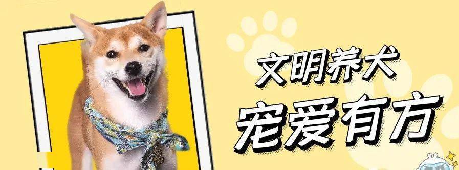 溫馨提示:請依法文明養犬,遛狗不栓繩違法