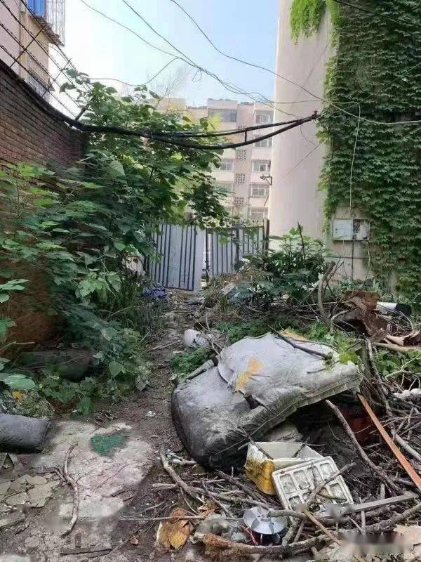 【工作】几经努力,郑州市农业路六合居小区废弃锅炉房焕发新貌