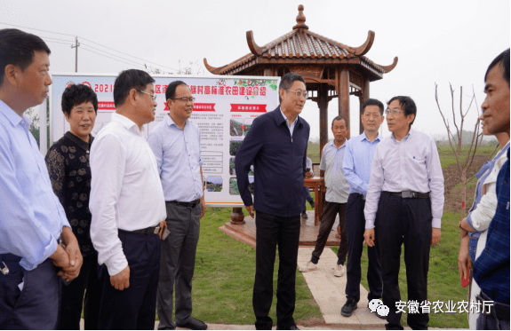 农业农村部农田建设管理司来我省调研高标准农田建设工作