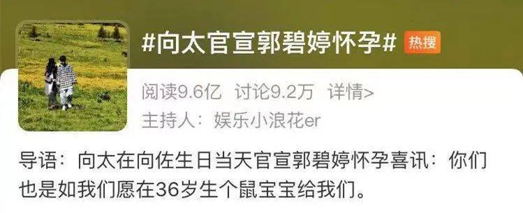 郭碧婷|她的豪门婚姻，挺抓马啊