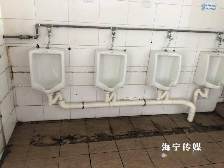 家一样的感觉!海宁多所学校完成"升级",现场