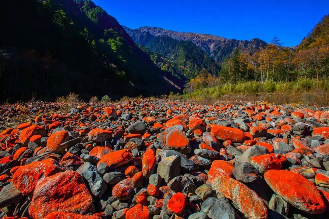 草科乡田湾河景区图片