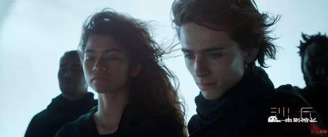 岳医生|“甜茶”主演张震加盟,砸了11亿的科幻大片《沙丘》过誉了吗