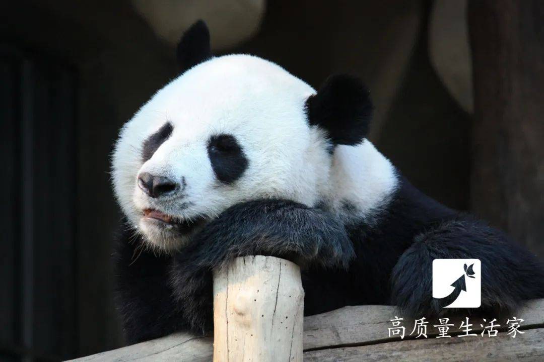 寢具|睡覺時為什么不能“腳朝西頭朝東”？今天終于知道了