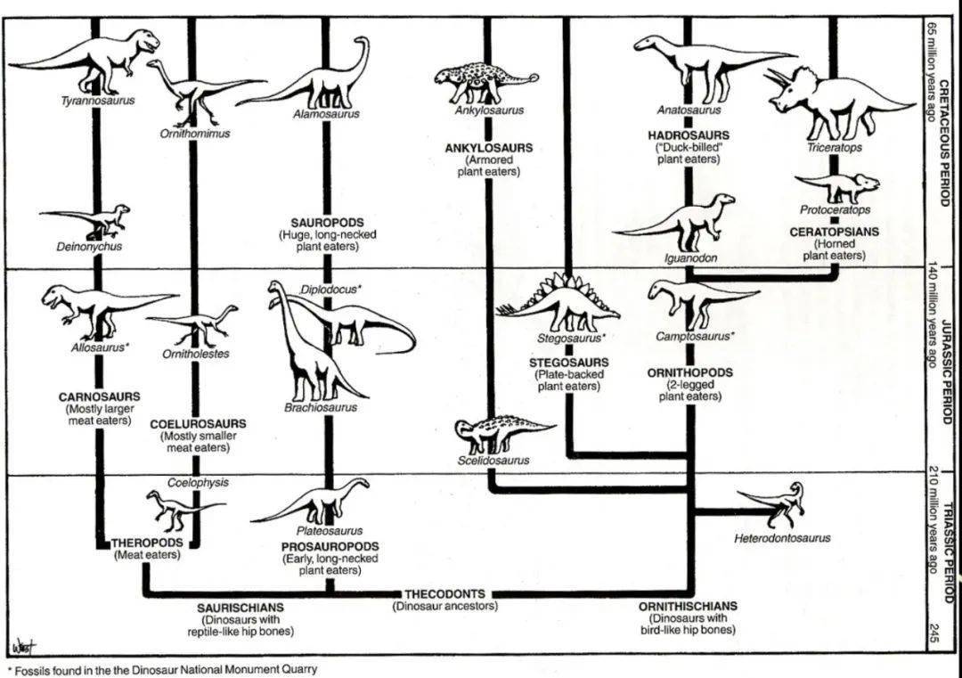恐龙王兽进化路线图片