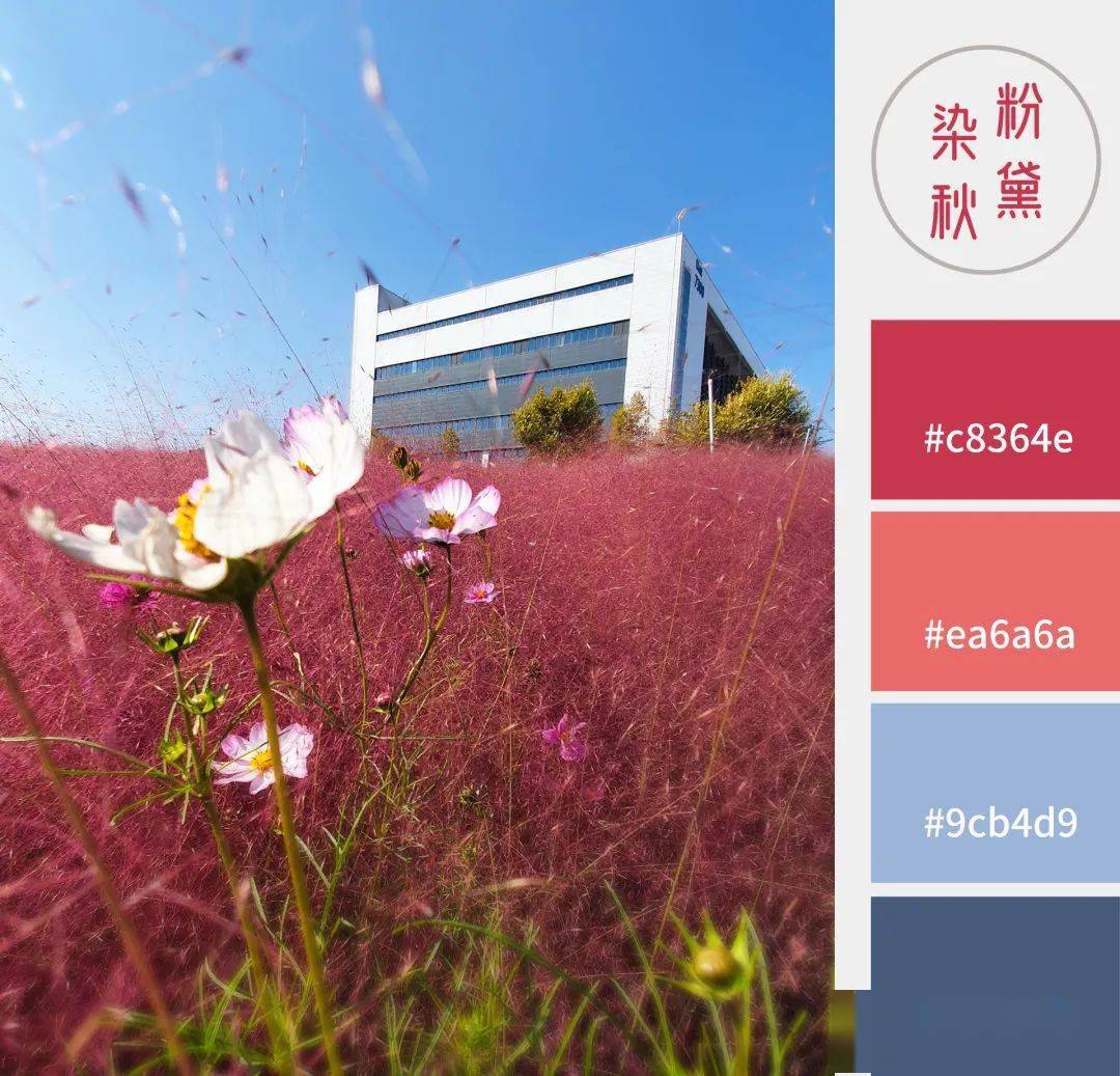 快收藏秋天最高级的配色