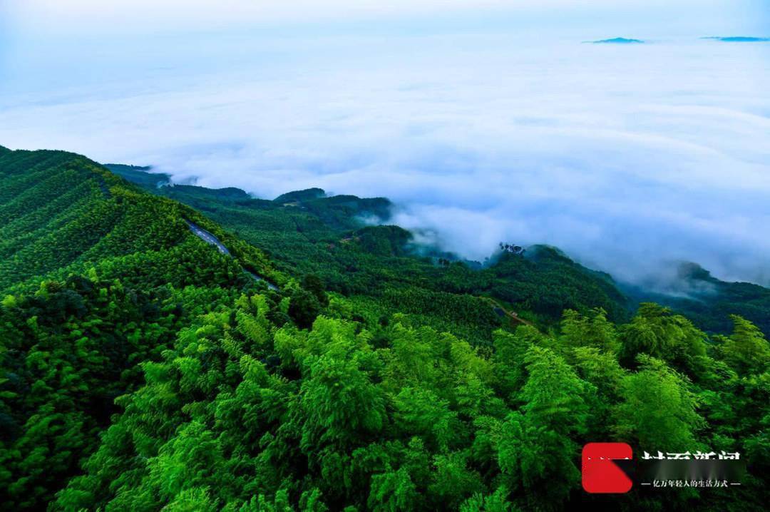 "竹"福宜宾⑭|86.99亿元!"蜀南竹海竹文化价值评估和生态价值核算"