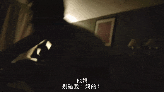 《致命录像带/VHS》系列6部电影合集 高清资源网盘下载图片 第3张