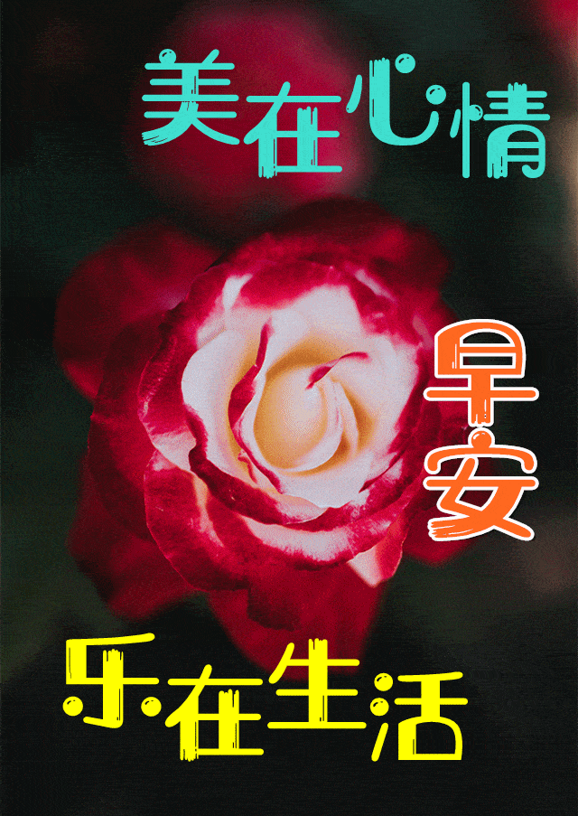 早安馨语天凉了为我的亲人朋友送去最真诚温暖的问候