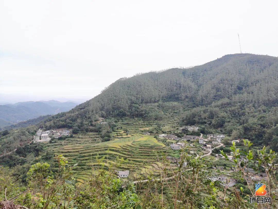 太危險了博白雲飛嶂風光雖好卻有人在半山路翻車滾下來了