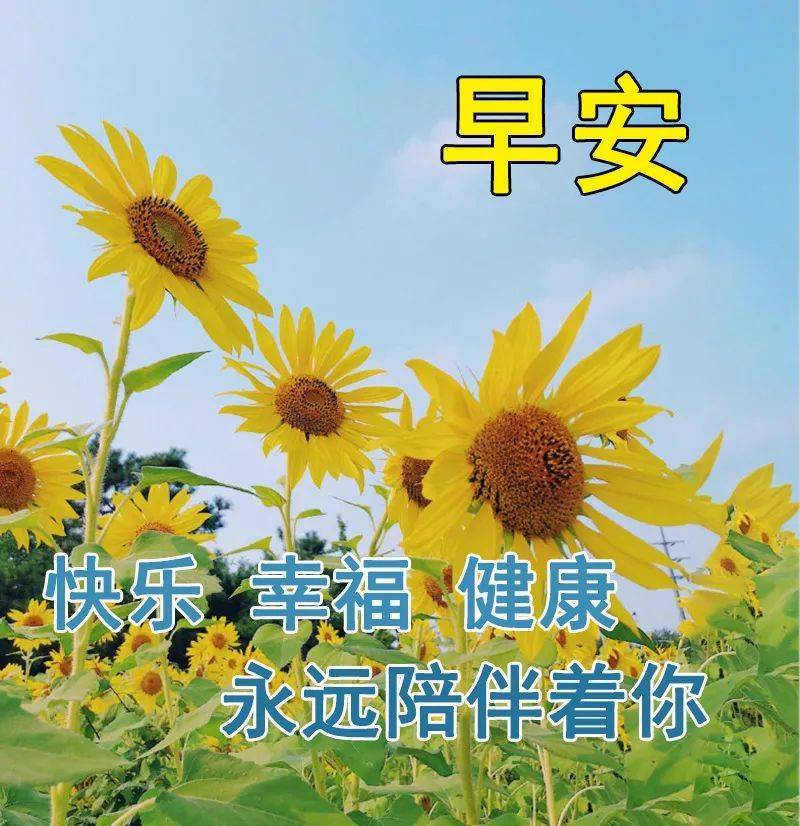 早安动态图片,洒一片祝福在你身上,愿你每天微笑,心情大好!