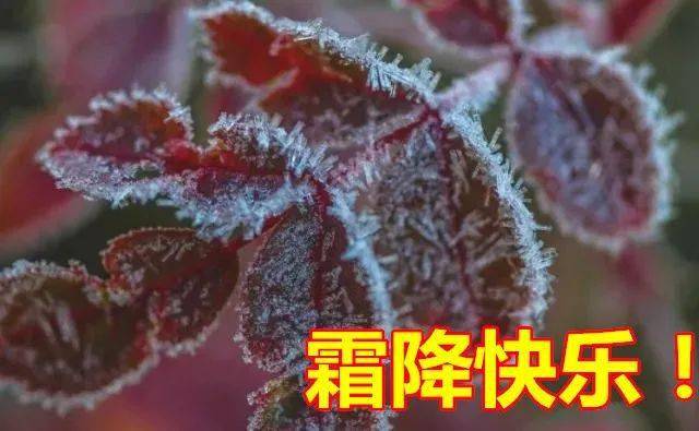 2021早上好表情包大全霜降祝愿朋友开心快乐幸福安康