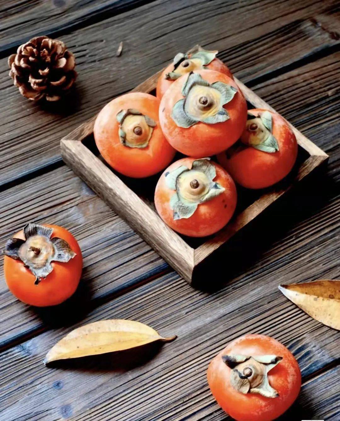 节61日︱霜降已至,万物毕成