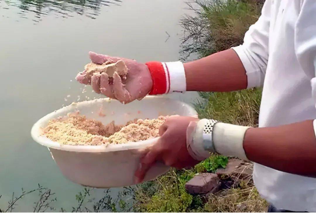 钓鱼打窝后为什么不聚鱼多半是因为这5个细节问题