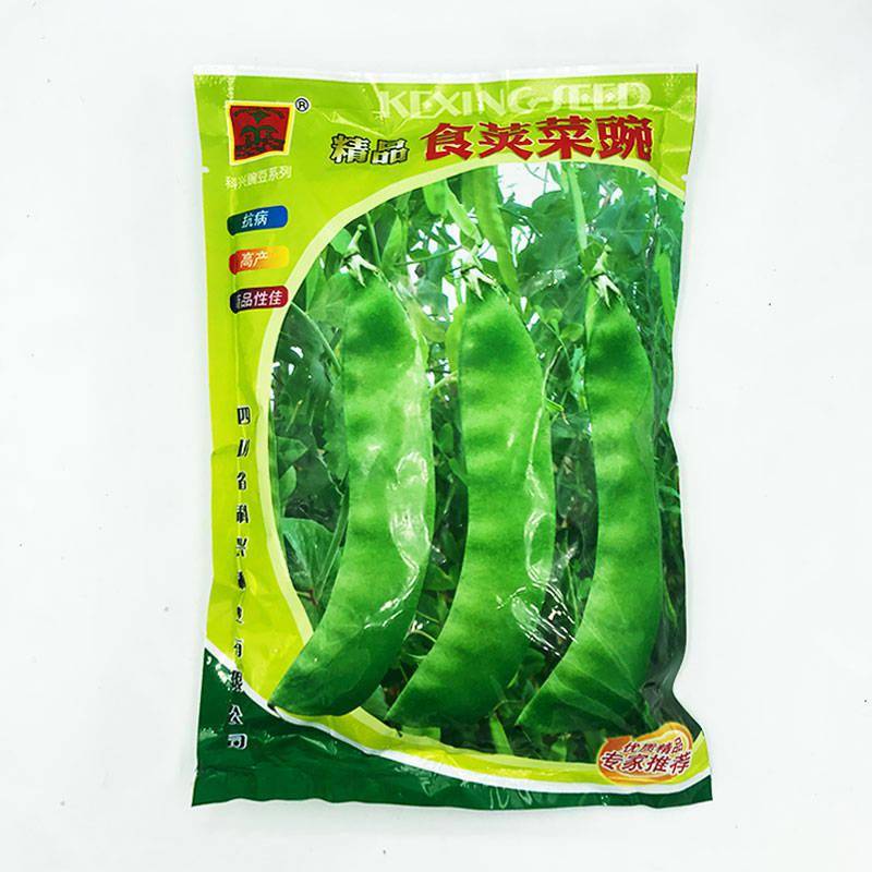 精品豌豆种 豆荚更大 肉更厚 种豌豆的农户赶紧试试 品种
