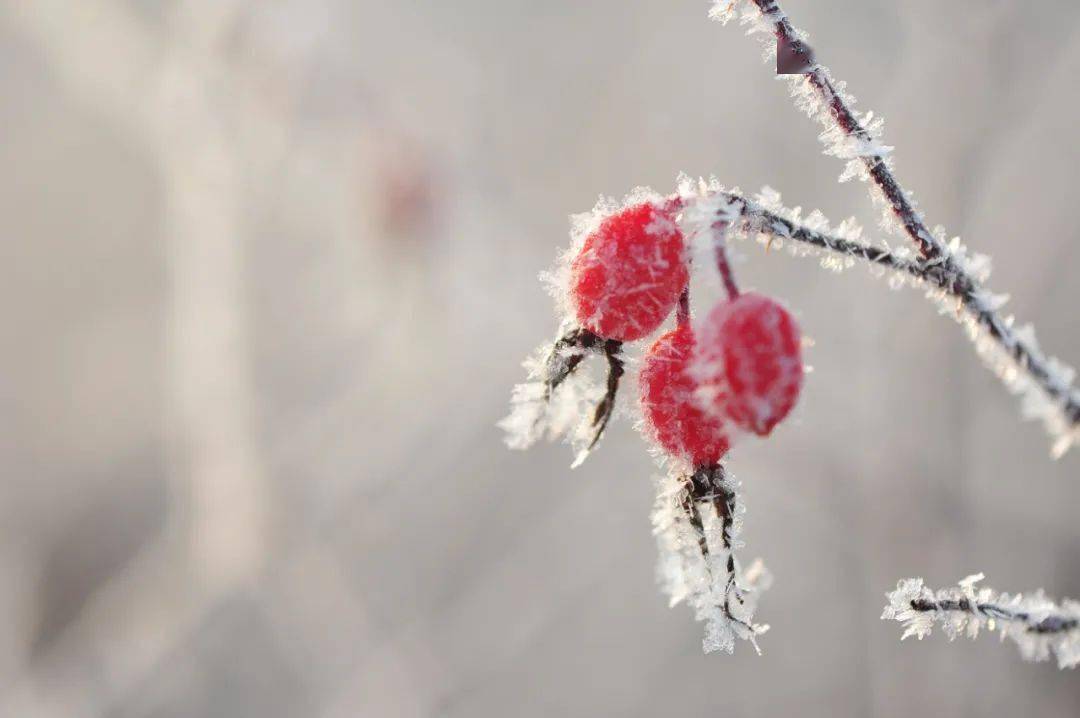 生活|霜降至，身体的老毛病发出信号……