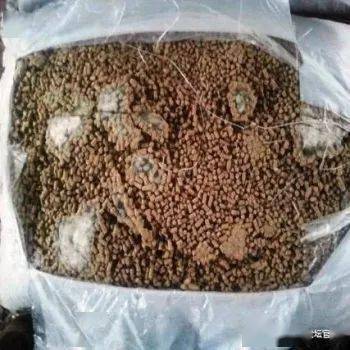 饲料几种典型霉变现象分析及解决办法