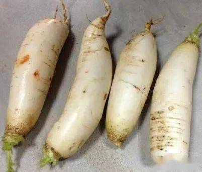 食欲|今日霜降！一定要把它端上桌，抗癌 降三高 防感冒！一冬少生病