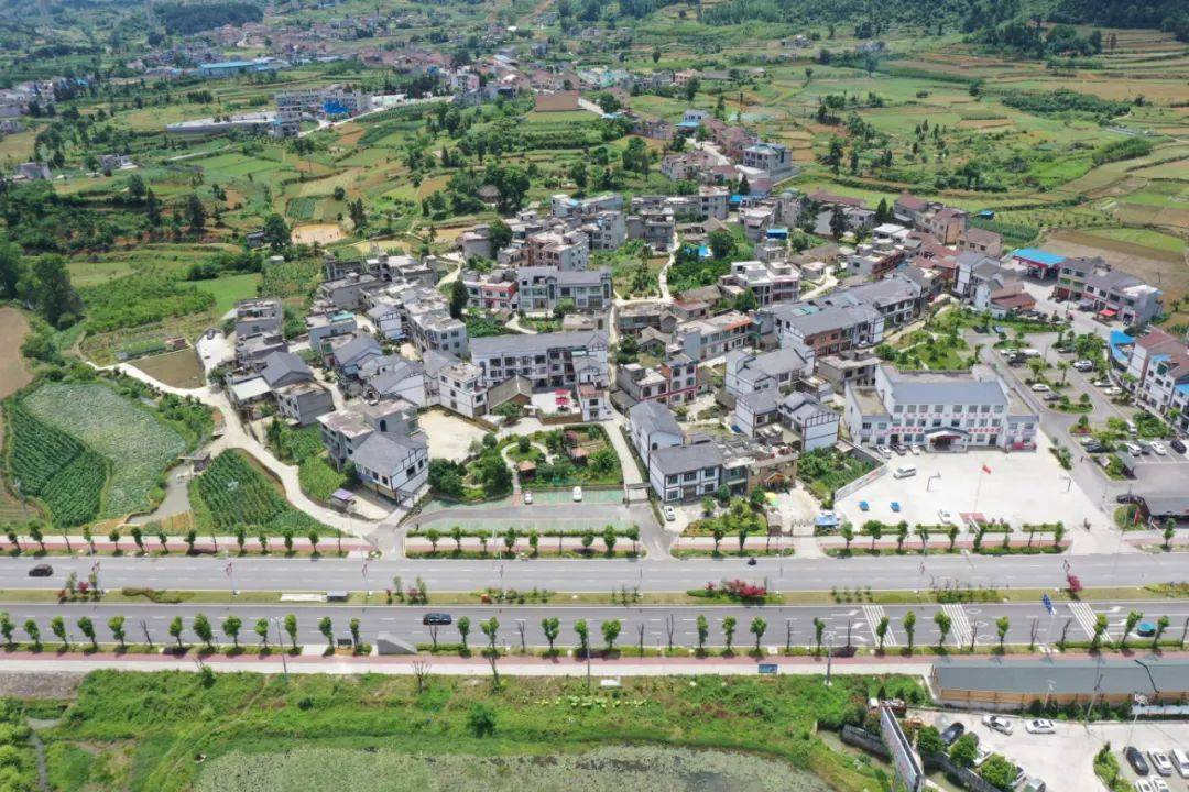 西洛街道:为乡村振兴插上"智慧的翅膀"