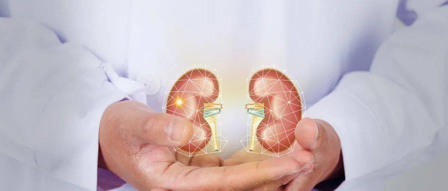 防护|肾病健康在线丨包崑教授：治疗膜性肾病要“三心二意”