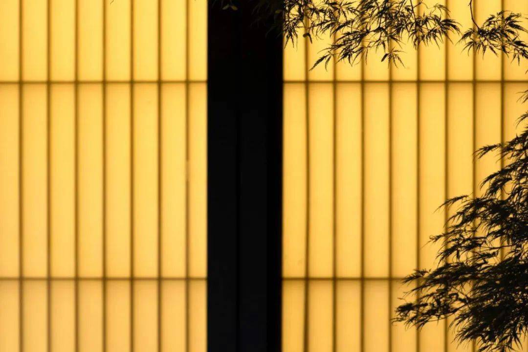 文章配图-119