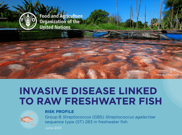 香港|香港79人感染7人死亡！处理这种家常菜要加倍小心……