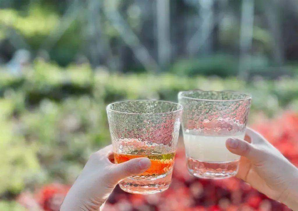 梅酒|综艺刷脸，夜场女王？她比你想得更干净！