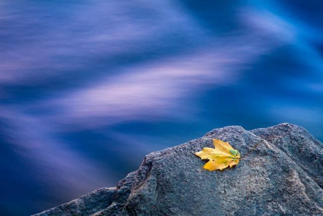 摄影秋天的落叶，怎么拍才惊艳？技巧全在这里了！
