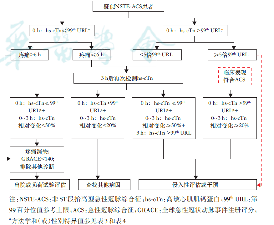 高敏肌钙蛋白1.5图片