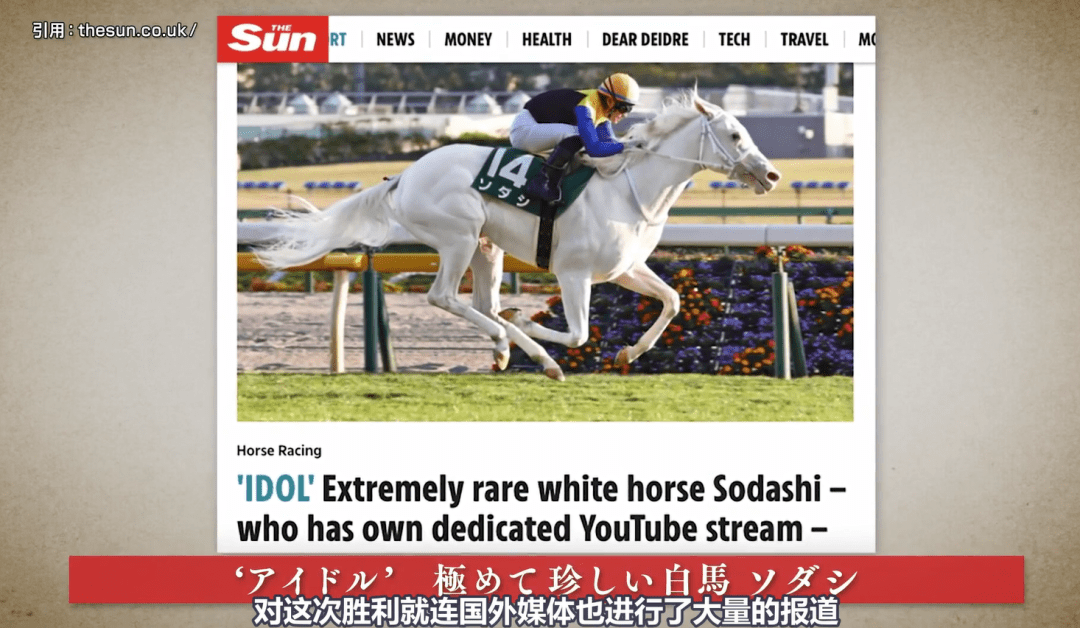 白马|世界最强，马中妲己！日本一本白马写真力压明星夺得销售榜第三名？看完后我理解了…
