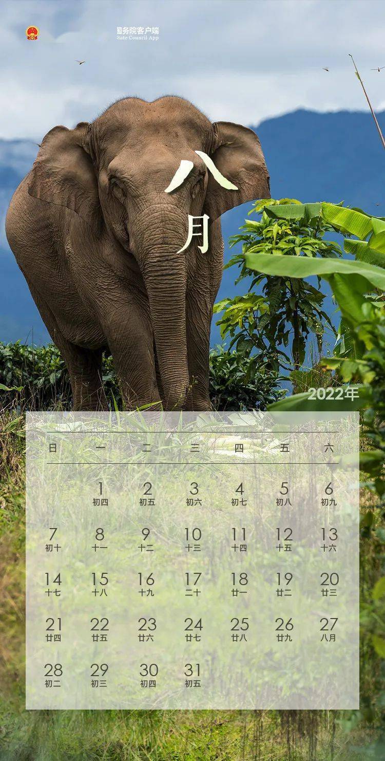 中国政府分享 ▍2022年日历来了！含放假安排~