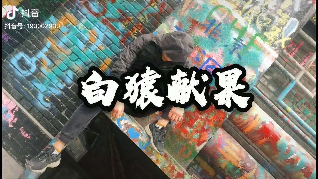白猿献果传统武术形意拳太极拳八卦掌功夫内家拳武术