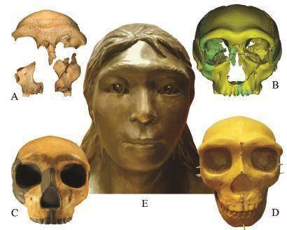 30万年前古人类面容与现代人相似