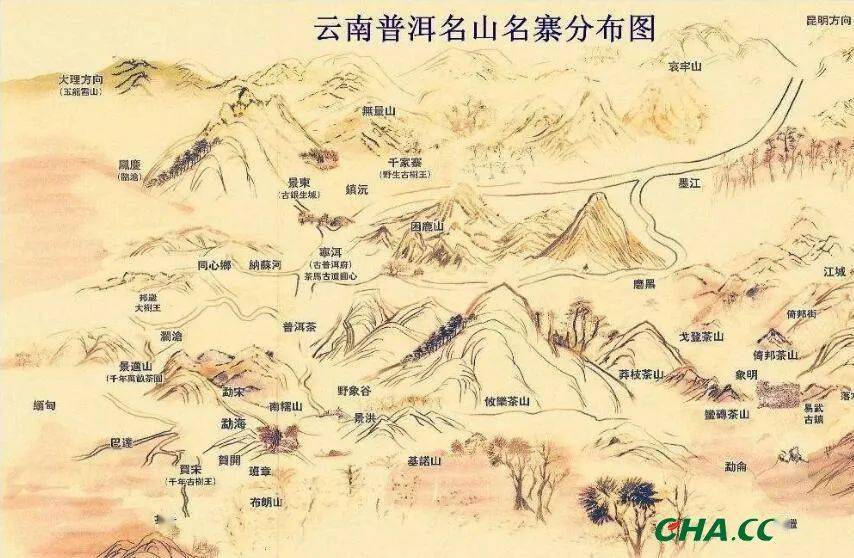 喝普洱茶看山头这些茶山闻名遐迩