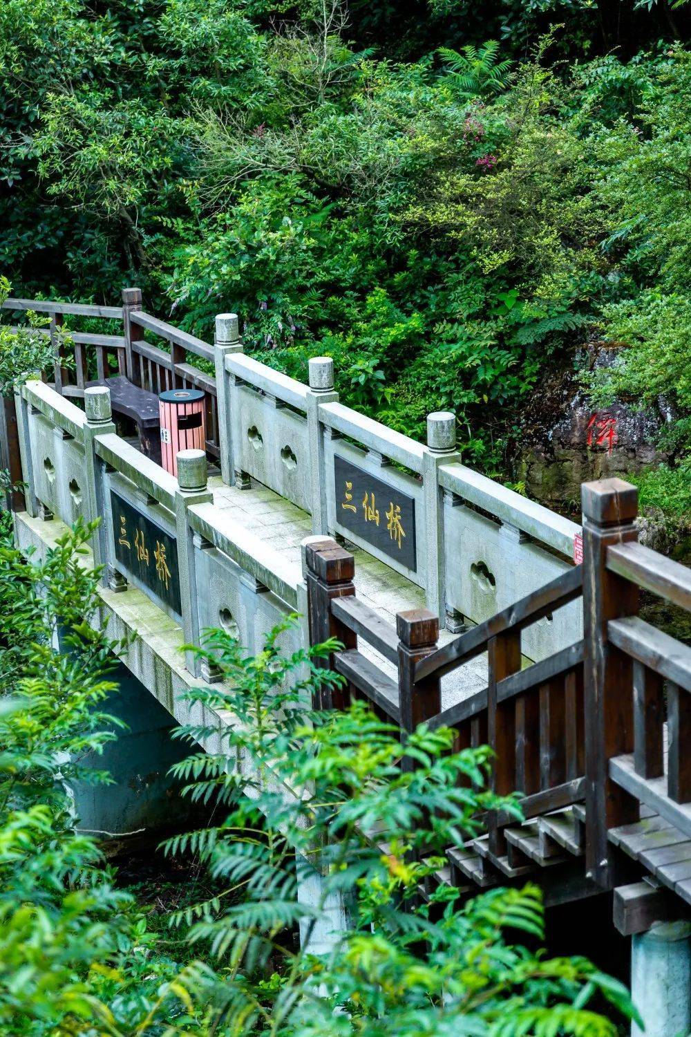 金塘仙人山只缘身在此山中