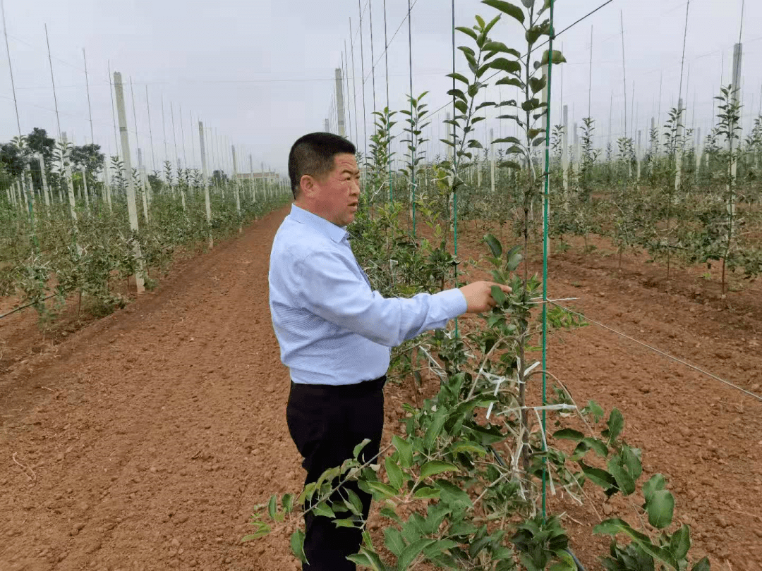在宝丰村任职9年来,张永刚立足村情实际,团结带领村"两委"班子,多方