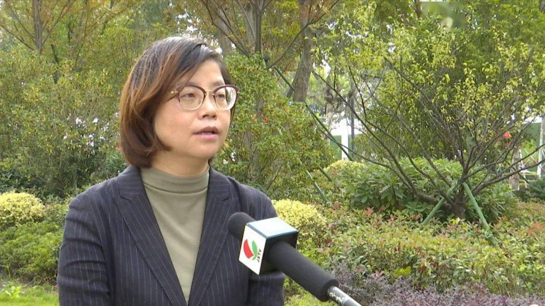 嘉兴市中青旅国际旅游有限公司总经理 周月琴:我们基本上把线下的门店