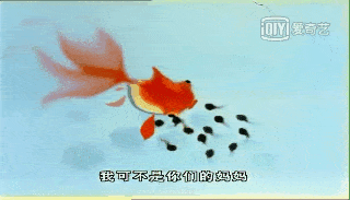 舒克舒克|世界动画日，快来看看动画片的正确打开方式！